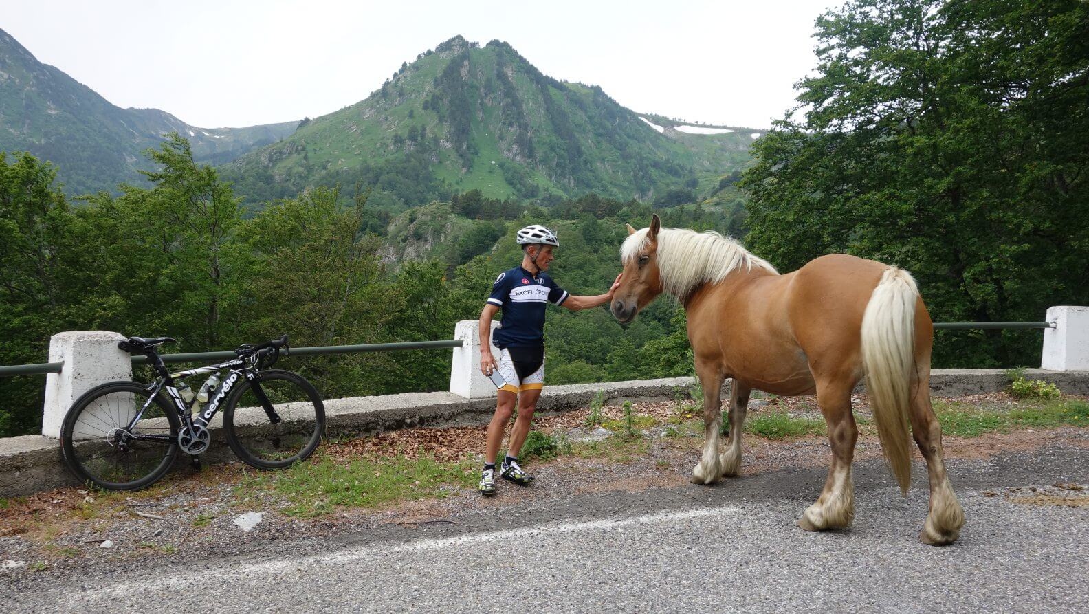 cycling petting a wild horse on the Col de Pailhères